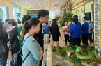 Giao dịch bất động sản tại TP.HCM và vùng tiệm cận thấp kỉ lục trong nhiều năm qua