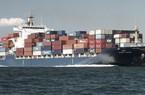 Vận tải và Dịch vụ Hàng hải (TRS) chia cổ tức năm 2022 tổng tỷ lệ 35%