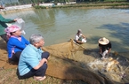 Nữ tỷ phú dân tộc Giáy ở Lào Cai phất lên nhờ nghề nuôi cá giống, nhiều người tới xem
