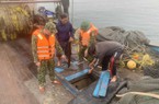 Chi cục trưởng Chi cục Thủy sản Quảng Ninh nói, khai thác thủy sản tận diệt ngày càng tinh vi