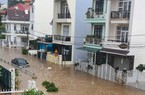 Mưa lớn tại TP.Đà Lạt, nhiều tuyến đường ngập cục bộ, cây xanh ngã đổ
