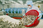 Mỹ, Trung Quốc, Nhật Bản quay lại mua cá, tôm của Việt Nam, trong tháng 5 bán được 808 triệu USD