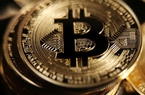 Bitcoin cán mốc cao nhất sau một năm
