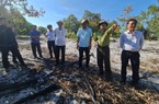 Giám đốc Sở NNPTNT Quảng Nam: “Không có chuyện đem rừng phòng hộ ra đốt để diễn tập”