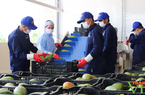 Sơn La: Vượt qua gian khó, tốc độ tăng trưởng kinh tế ( GRDP) đạt 6,71 %