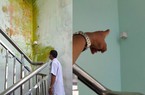 Bệnh viện hơn 18 tỷ đồng mới sử dụng đã hỏng: Nhà thầu khẩn trương khắc phục