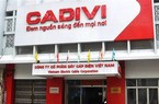 Dây Cáp điện Việt Nam (CAV): Lên kế hoạch lợi nhuận trước thuế đạt 450 tỷ, dự chia cổ tức tỷ lệ 100% 