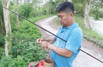 Vô rừng U Minh Thượng ở Kiên Giang đi câu cá lóc, cá rô đồng bằng một thứ mồi ai thấy cũng bất ngờ