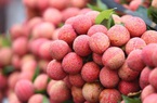 Vải thiều Việt Nam có giá hơn 400.000 đồng/kg tại Anh