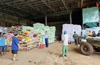 Liên tiếp phát hiện cơ sở vi phạm trong buôn bán, lưu hành phân bón