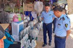 Quạt tích điện hét giá trên trời, cơ quan quản lý tuýt còi