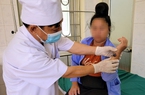 Đã có 14 người ở Hà Giang, Điện Biên mắc bệnh than lây từ trâu, bò, Cục Thú y đưa ra khuyến cáo