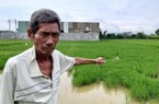 Long An: Chuẩn bị thời điểm, vị trí khởi công dự án đường Vành đai 3 TP.HCM