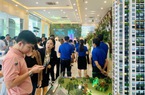 Thị trường bất động sản sớm chuyển mình
