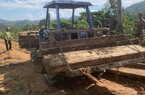 Phát hiện, bắt giữ nhóm đối tượng vận chuyển trái phép lâm sản, tịch thu gần 30 hộp gỗ Hoa Lý