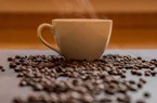 Tích xanh lá cây cho cà phê Việt vào EU