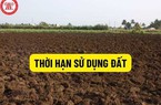 Có bắt buộc làm thủ tục điều chỉnh thời hạn sử dụng đất?