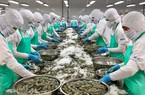 Phó Thủ tướng Lê Minh Khái chỉ đạo tháo gỡ khó khăn vay vốn, lãi suất... cho doanh nghiệp thủy sản