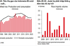 HSBC: Dự báo cuối năm 2023 El Nino mạnh lên, tác động vượt khỏi lĩnh vực nông nghiệp