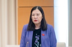 Chủ nhiệm Ủy ban Tư pháp: "Gầm cầu không phải để trông giữ phương tiện giao thông"