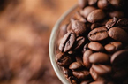 Giá cà phê hai sàn hồi phục, cà phê trong nước quay đầu tăng 300 đồng/kg