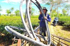 Nắng nóng như rang, hạn chưa từng thấy, nông dân Hà Tĩnh vét từng giọt nước tưới cứu vườn cây