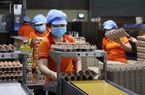 Ngành chăn nuôi quyết tâm nâng cấp vùng an toàn dịch bệnh theo tiêu chuẩn thế giới