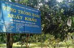 Giúp nông dân vùng đồng bào dân tộc thiểu số thay đổi nhận thức thông qua các mô hình sản xuất nông nghiệp