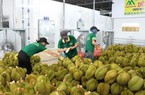 Sẽ tạm dừng sử dụng mã số vùng trồng các lô hàng vi phạm kiểm dịch của Trung Quốc