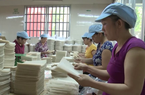 TP.HCM giao đất để hỗ trợ phát triển làng nghề, ngành nghề nông thôn