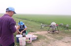 Máy bay không người lái lượn trên đồng lúa lớn nhất Nghệ An, nông dân nhẹ cả người