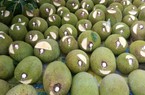 Giá mít hôm nay 26/7: Vẫn đà tăng, hễ bán ra 1kg mít Thái, nhà vườn ăn lãi bao nhiêu?