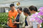 Hà Nội xuất hiện nhiều mô hình nông nghiệp thu tiền tỷ từ chính sách thúc đẩy ứng dụng công nghệ cao 