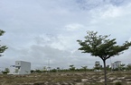 Chủ tịch Bình Định yêu cầu không để 'điểm nóng' an ninh - trật tự phát sinh tại dự án bất động sản