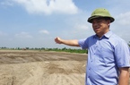 Chưa được bồi thường nhưng ao, vườn đã bị doanh nghiệp san lấp, một Nông dân Việt Nam xuất sắc ở Hưng Yên kêu cứu