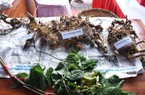 Làm cách nào để Kon Tum bắt giữ các vụ sâm giả, "phanh phui" doanh nghiệp "nổ" đang có vườn sâm?