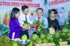 Nếm đặc sản tại một phiên chợ nông sản và sản phẩm OCOP ở Khánh Hòa ai cũng khen ngon