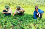 Chính thức tăng lương: Mức lương Bí thư Đảng ủy xã năm 2023 là bao nhiêu?