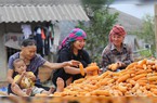 Khởi nghiệp kinh doanh, quảng bá nông sản trên nền tảng số-niềm tin, nghị lực tạo thành công