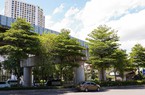 Cây xanh "đội" gầm đường sắt trên cao tại Hà Nội