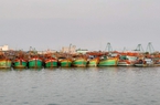 Mục tiêu đến tháng 10/2023 gỡ cảnh báo "thẻ vàng" IUU