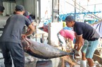 Khánh Hòa: Có 64 doanh nghiệp chế biến, xuất khẩu thủy sản