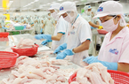 Trung Quốc, Mỹ mua nhiều cá tra nhất của Việt Nam, kỳ vọng xuất khẩu cả năm hơn 1,7 tỷ USD