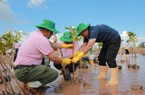 C.P. Việt Nam khởi động dự án trồng cây bảo vệ đa dạng sinh học tại trang trại nuôi tôm 