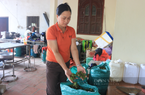 Nông dân Việt Nam xuất sắc 2023 đến từ tỉnh Lạng Sơn là một người lập nghiệp với 1 sào ruộng