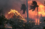 Clip: Tổng thống Mỹ tuyên bố tình trạng thảm họa tại Hawaii sau trận cháy rừng kinh hoàng