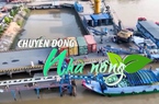 Chuyển động Nhà nông 12/8: Giá gạo tăng, doanh nghiệp xuất khẩu vẫn có thể lỗ