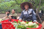 Hàng trăm tấn nông sản được tiêu thụ tại lễ hội kết nối tiêu thụ quả na, nông sản Thái Nguyên 2023