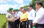 Thủ tướng Phạm Minh Chính: Phải tiếp tục đổi mới tư duy về sản xuất nông nghiệp