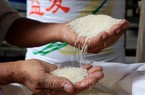 Xu hướng tăng giá trên thị trường gạo có phải là 'biến động kỹ thuật'?